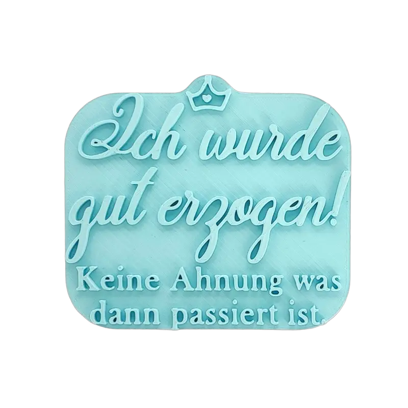 Ich wurde gut erzogen! Keine Ahnung was dann passiert ist. - Stempel - Spruchstempel